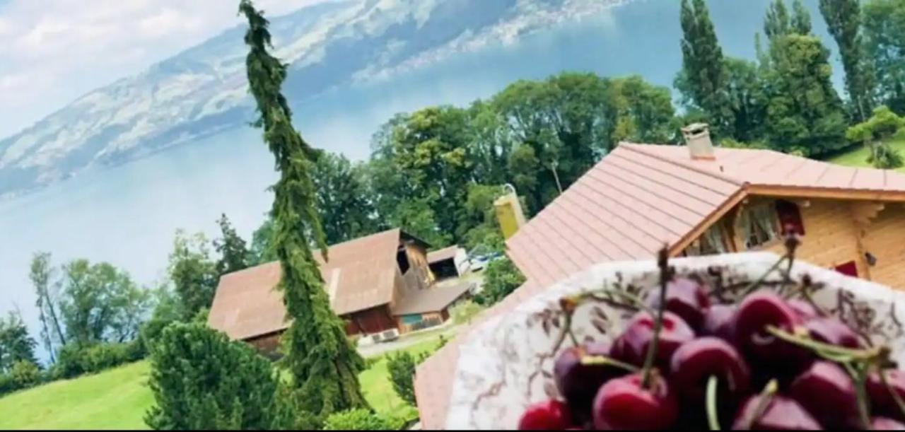Lakeview Rustic Krattigen Εξωτερικό φωτογραφία